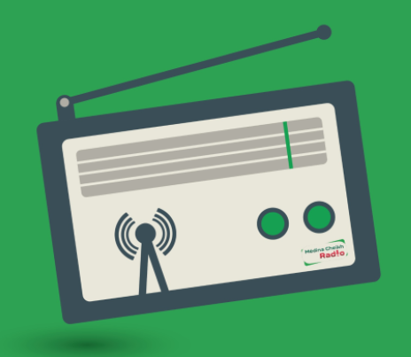 RTMP Audio Streamer